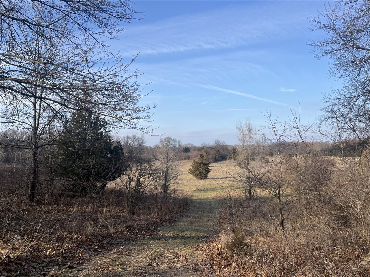 Waterloo Road, Chelsea, MI, 48118