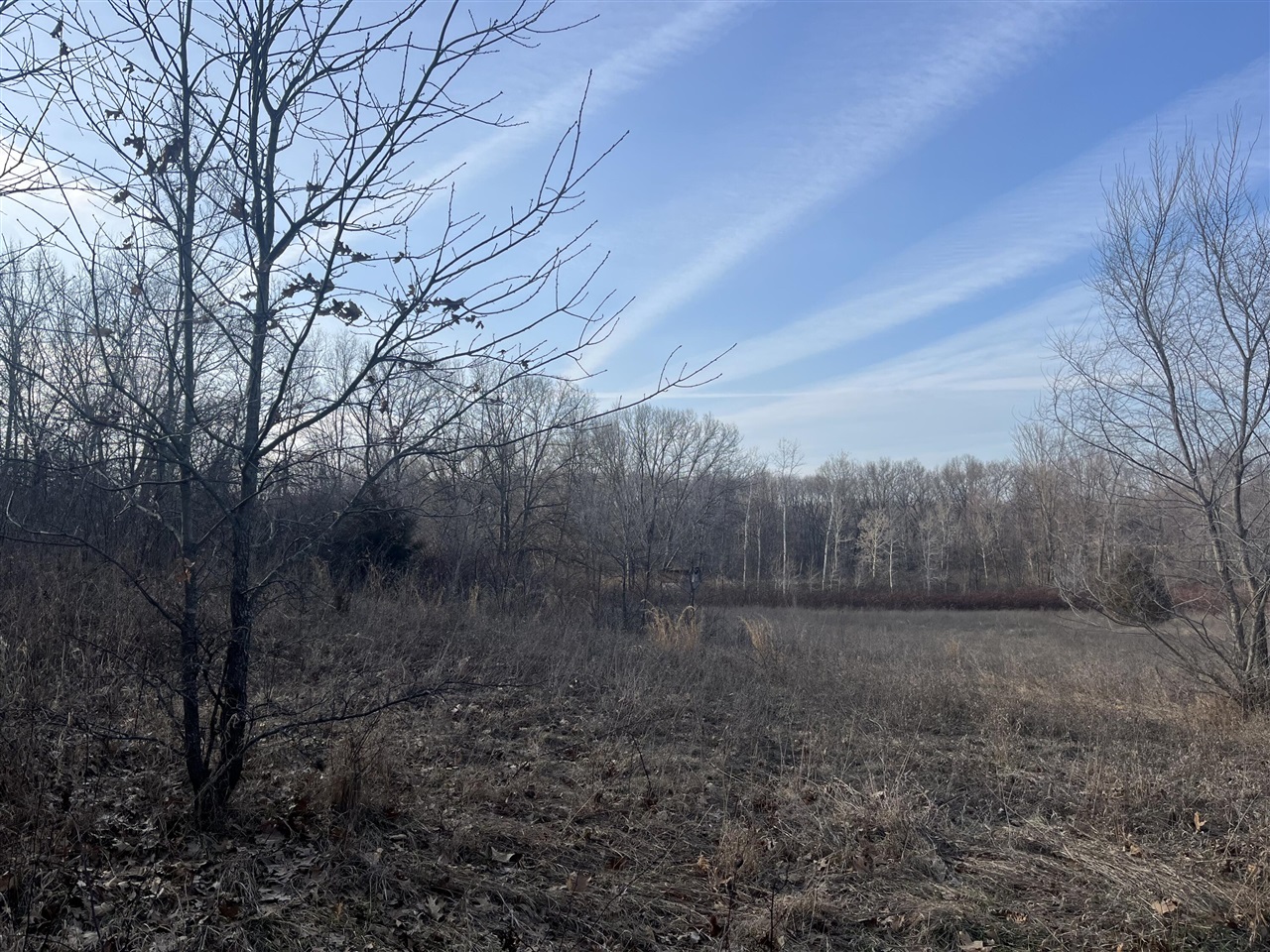 Waterloo Road, Chelsea, MI, 48118