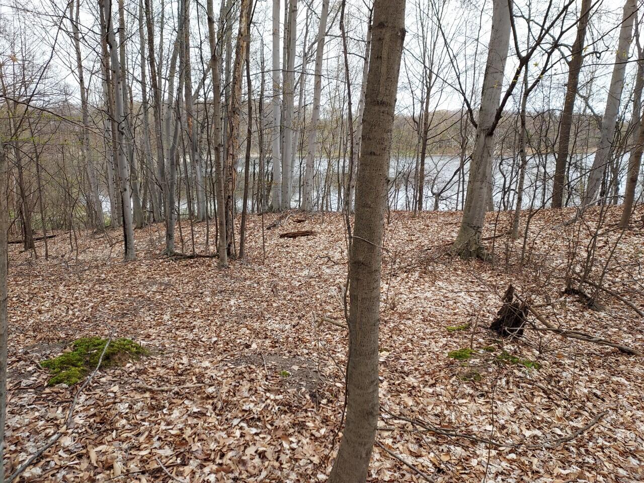 5424 W Oak Point Road, Ludington, MI, 49431