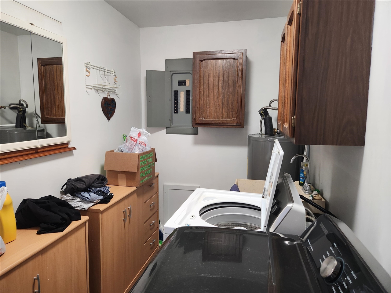 1041 Wolf Lake Drive, Baldwin, MI, 49304