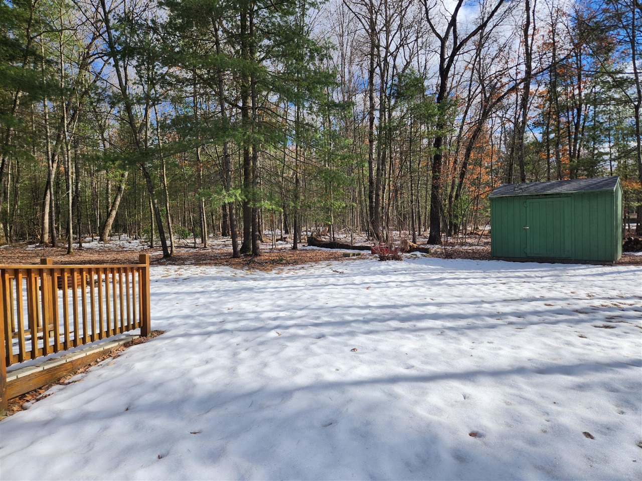 1041 Wolf Lake Drive, Baldwin, MI, 49304