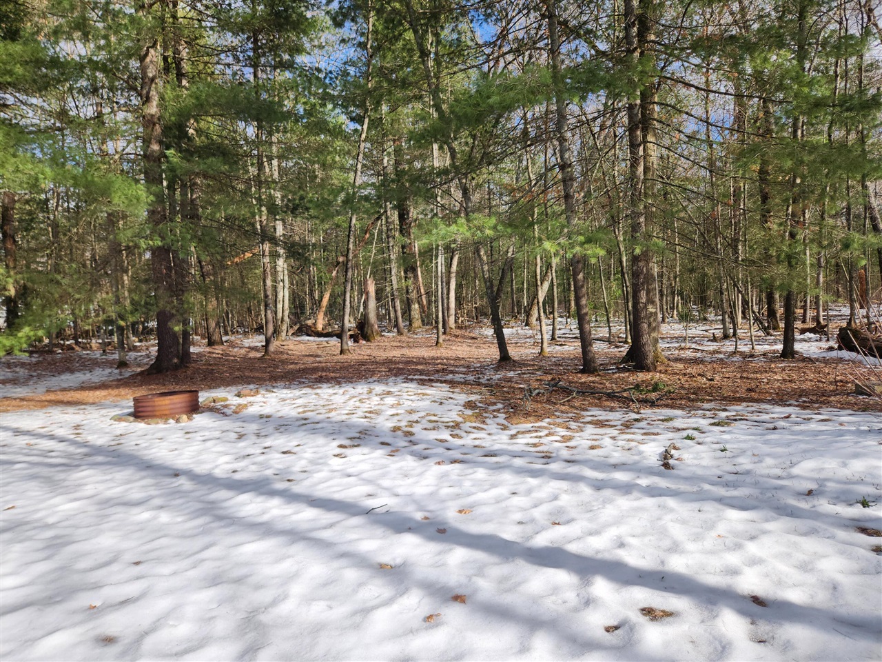 1041 Wolf Lake Drive, Baldwin, MI, 49304