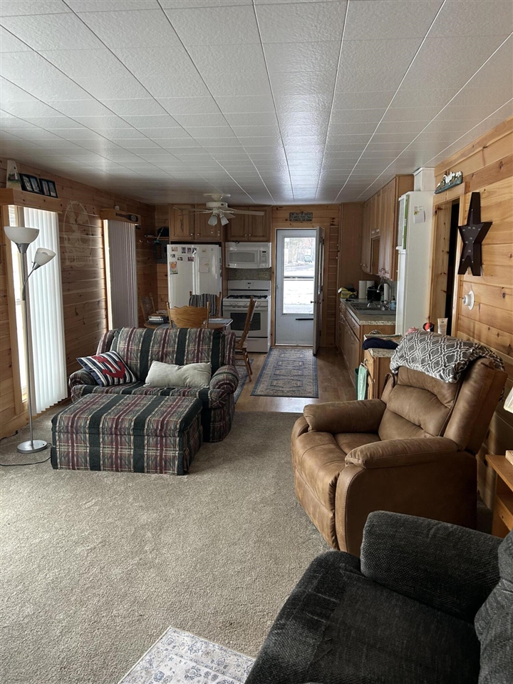 3259 Wolf Lake Drive, Baldwin, MI, 49304-8494