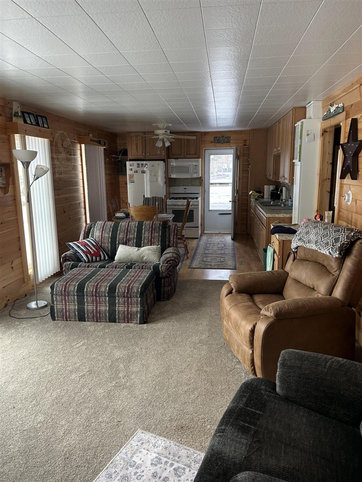 3259 Wolf Lake Drive, Baldwin, MI, 49304-8494