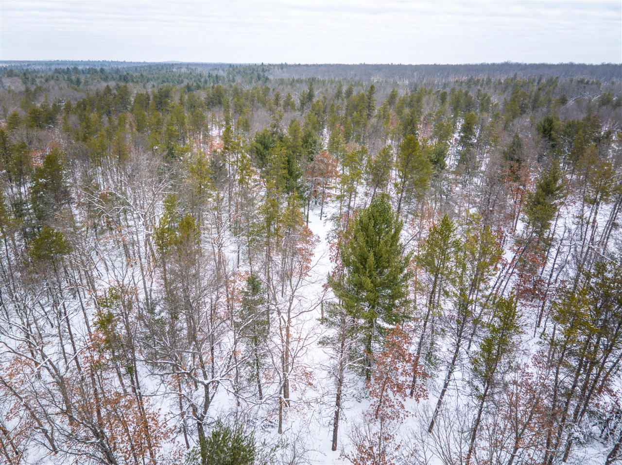 4813 W 48th Street, Baldwin, MI, 49304-7145