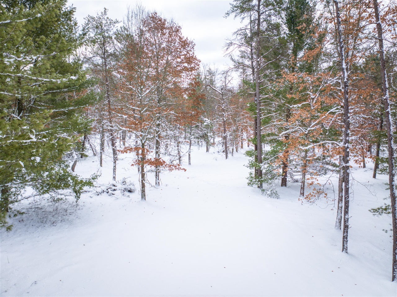 4813 W 48th Street, Baldwin, MI, 49304-7145