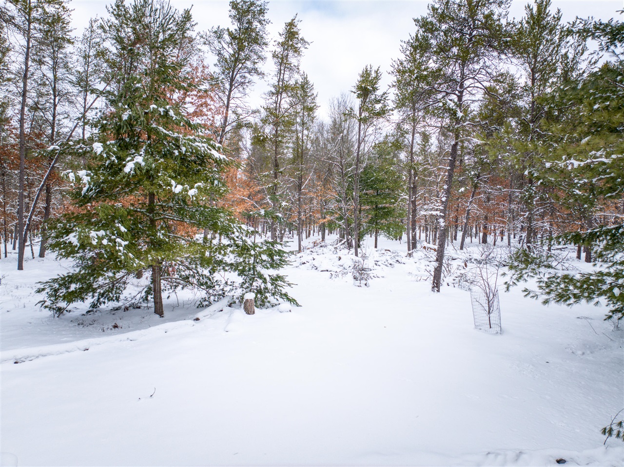 4813 W 48th Street, Baldwin, MI, 49304-7145