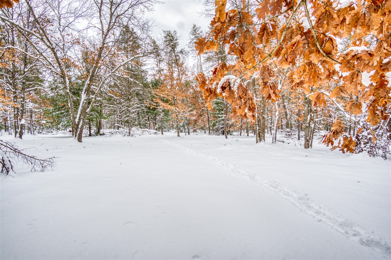 4813 W 48th Street, Baldwin, MI, 49304-7145