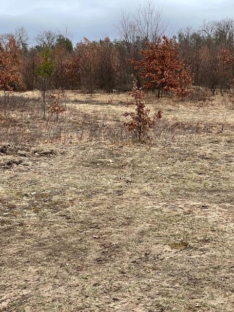 2319 E 38th Street, Idlewild, MI, 49642-8612