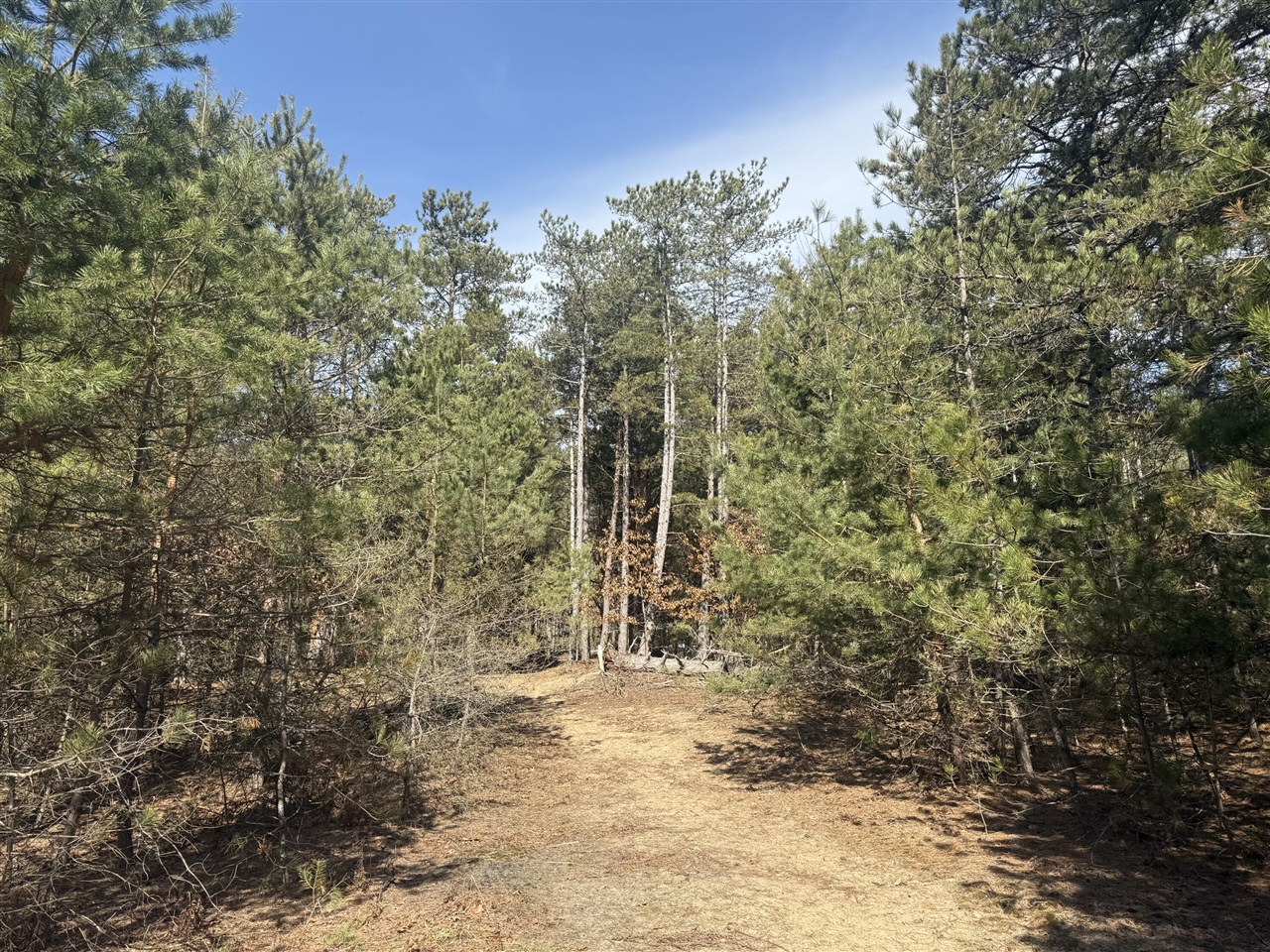 V/L W Pine Acres Trail, Hart, MI, 49420