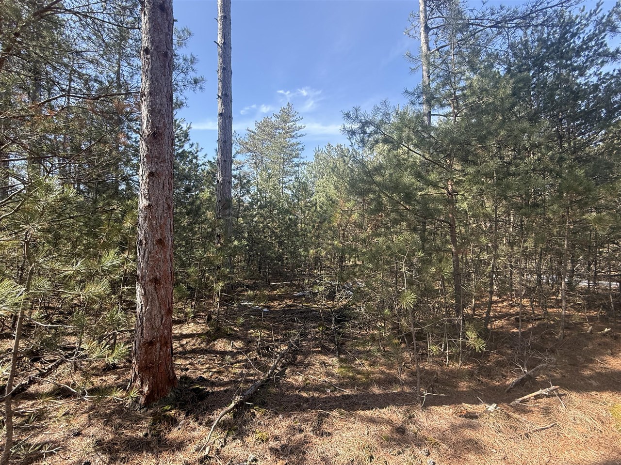 V/L W Pine Acres Trail, Hart, MI, 49420