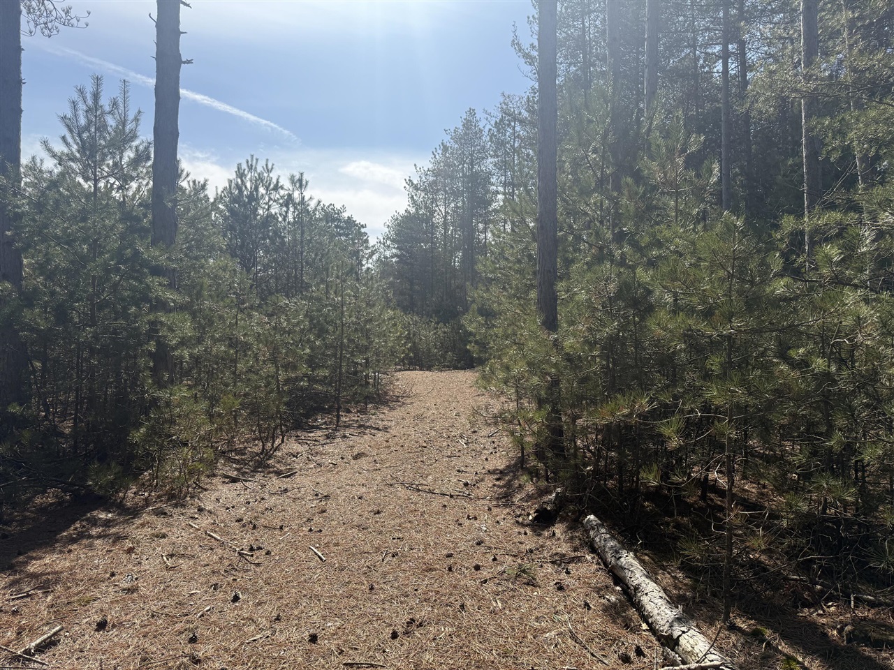 V/L W Pine Acres Trail, Hart, MI, 49420