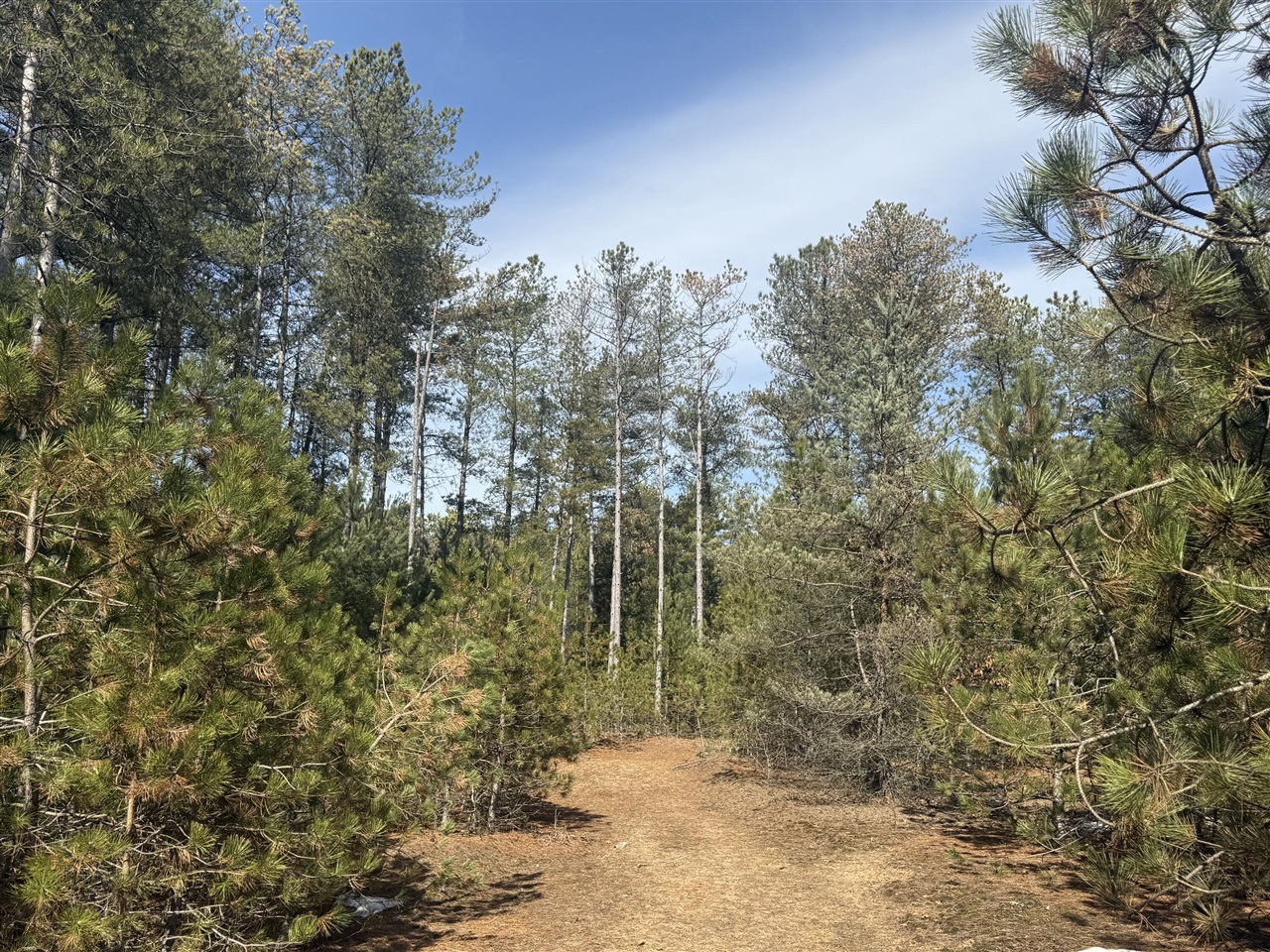 V/L W Pine Acres Trail, Hart, MI, 49420