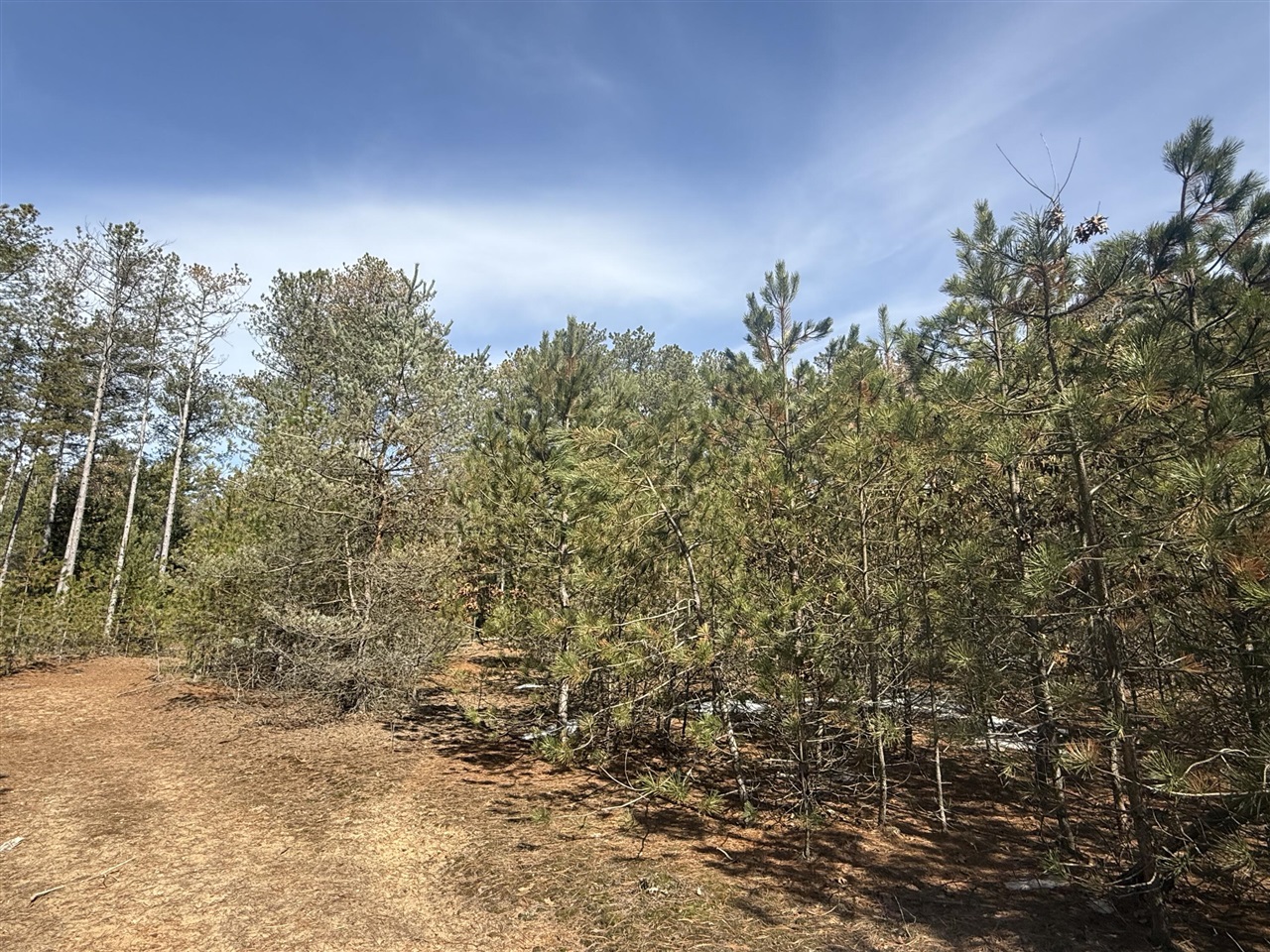 V/L W Pine Acres Trail, Hart, MI, 49420