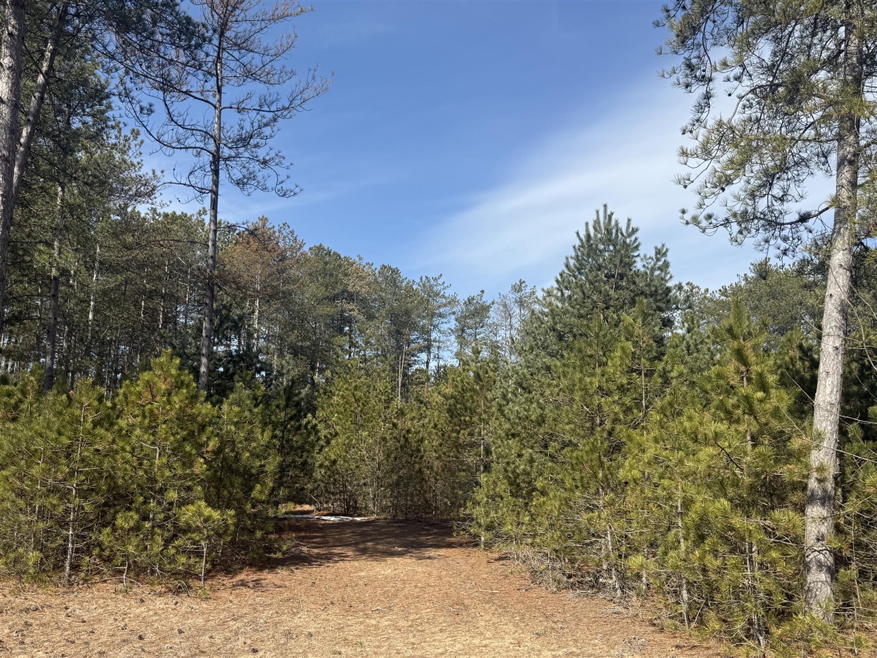 V/L W Pine Acres Trail, Hart, MI, 49420