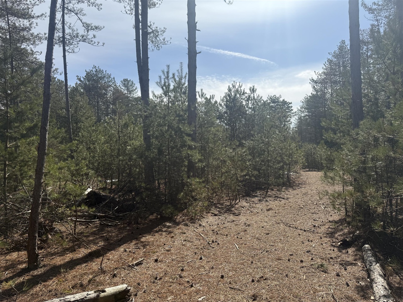 V/L W Pine Acres Trail, Hart, MI, 49420