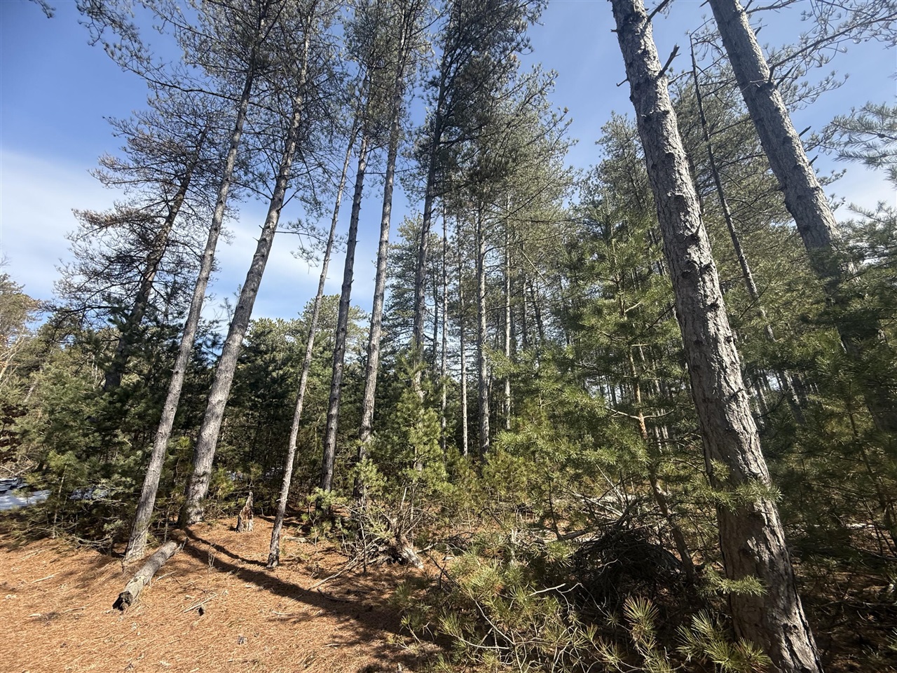 V/L W Pine Acres Trail, Hart, MI, 49420