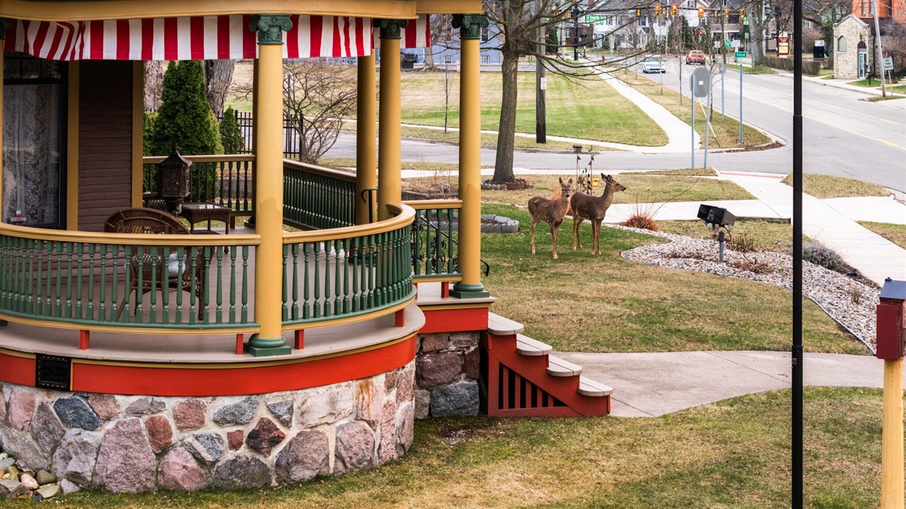 1401 Greenwood Avenue, Jackson, MI, 49203-4070