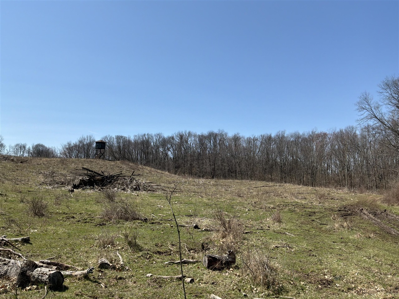 Vl Wellman Rd, Parma, MI, 49269