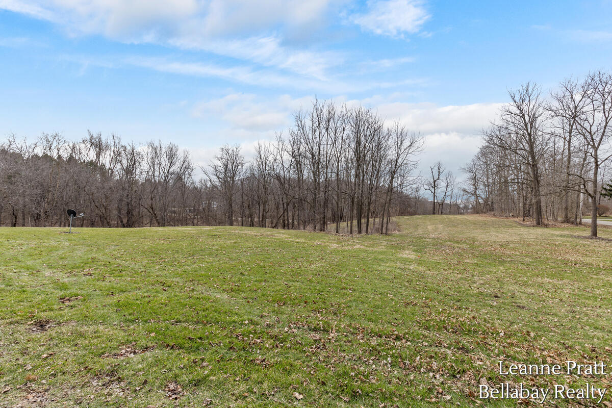 603 S State Street, Nashville, MI, 49073-9210