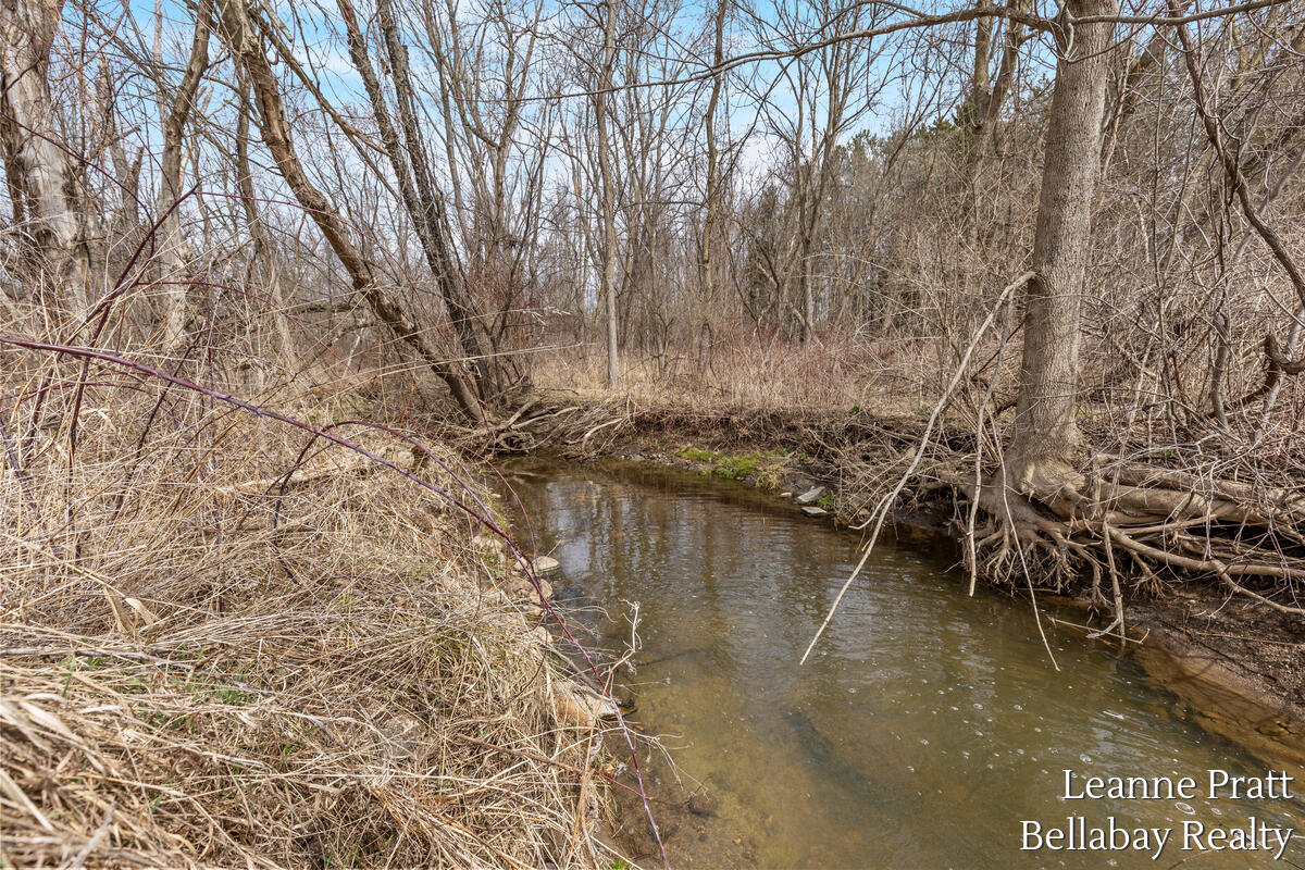 603 S State Street, Nashville, MI, 49073-9210