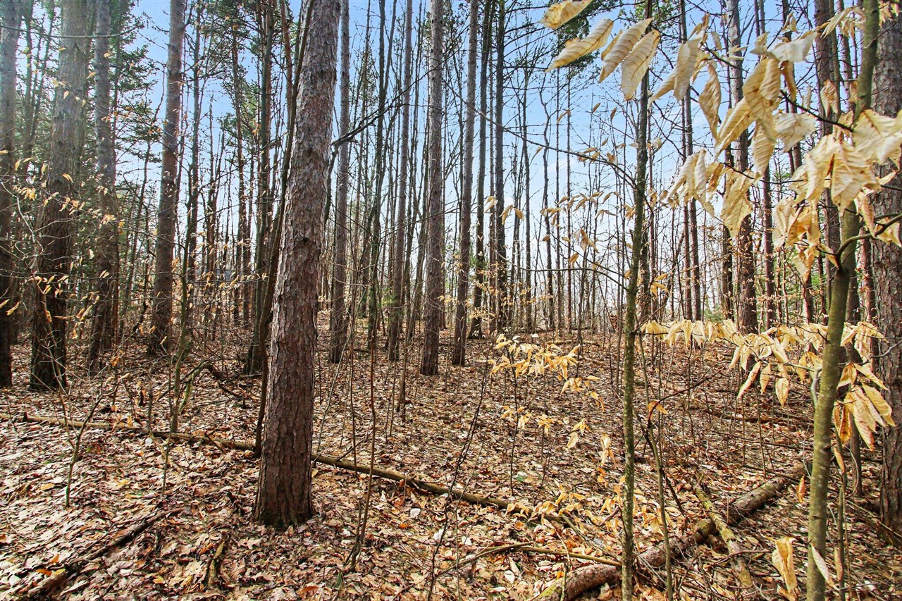 5818 Hunters Ridge, Fennville, MI, 49408-8450