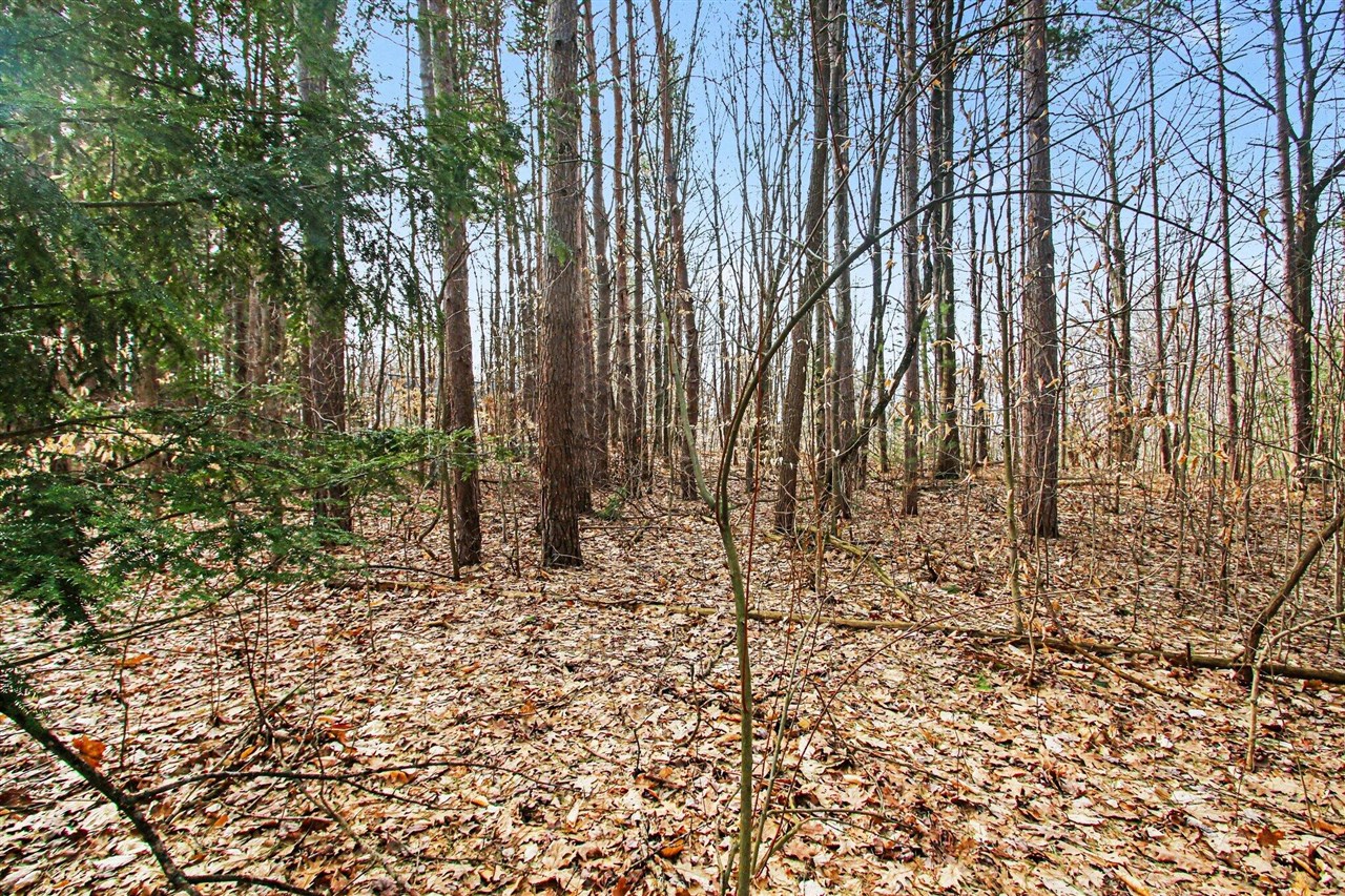 5818 Hunters Ridge, Fennville, MI, 49408-8450