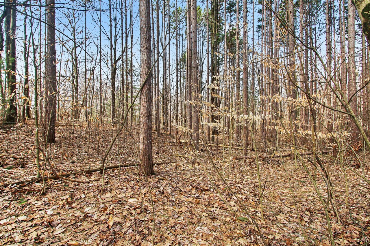 5818 Hunters Ridge, Fennville, MI, 49408-8450