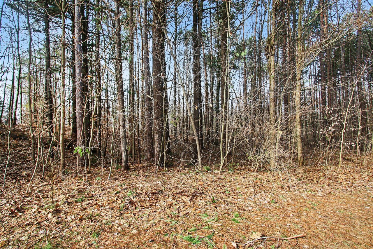 5818 Hunters Ridge, Fennville, MI, 49408-8450