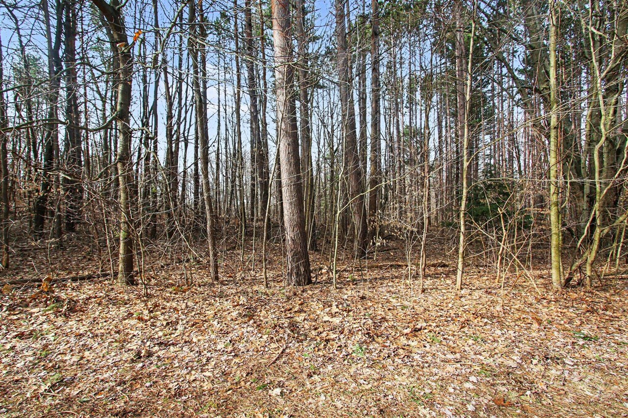 5818 Hunters Ridge, Fennville, MI, 49408-8450