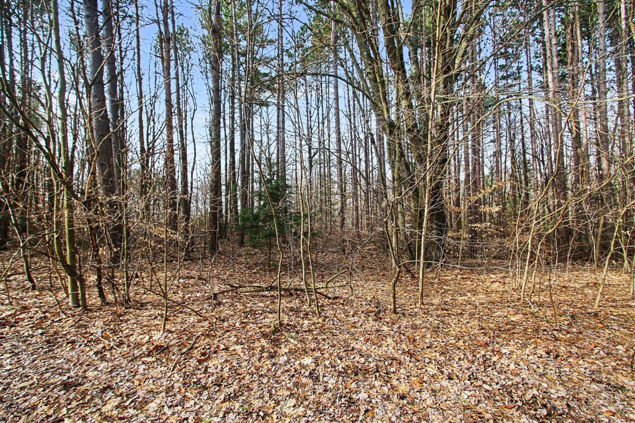 5818 Hunters Ridge, Fennville, MI, 49408-8450