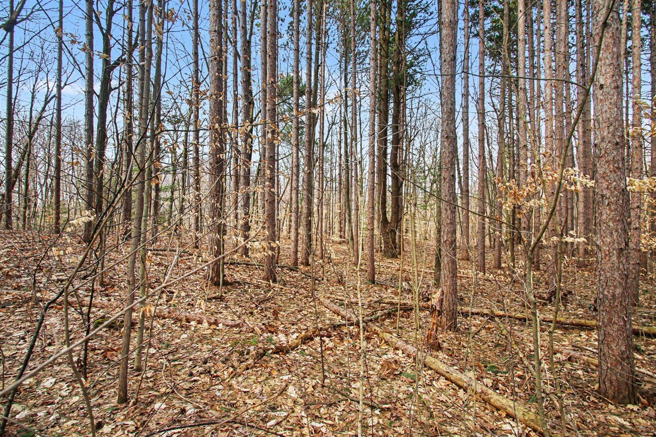 5818 Hunters Ridge, Fennville, MI, 49408-8450