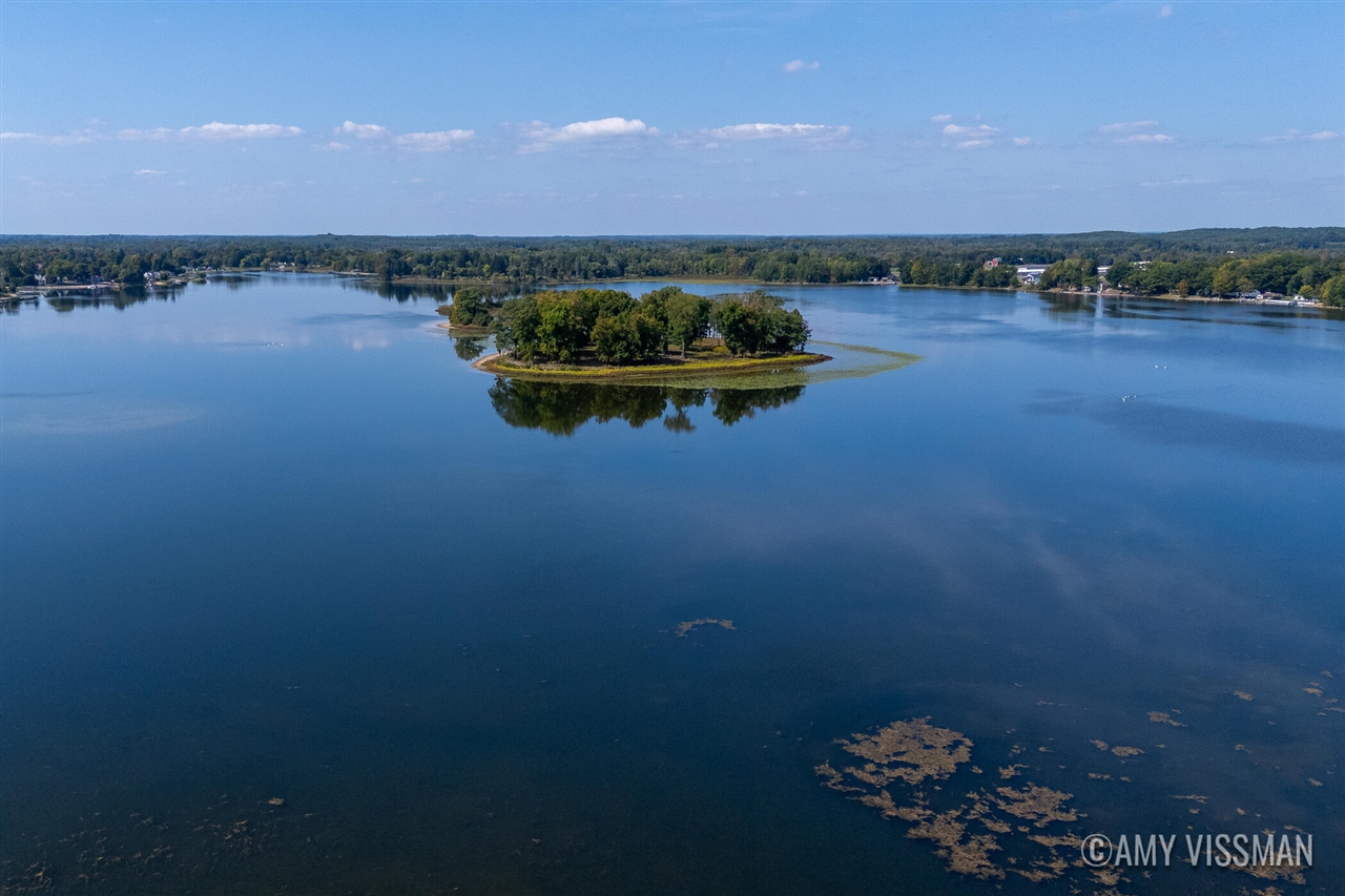 10210 Collard Drive, Lakeview, MI, 48850-9143