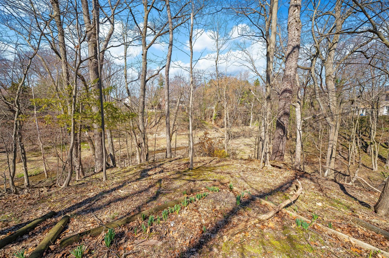 711 Kingsley Avenue, Saint Joseph, MI, 49085