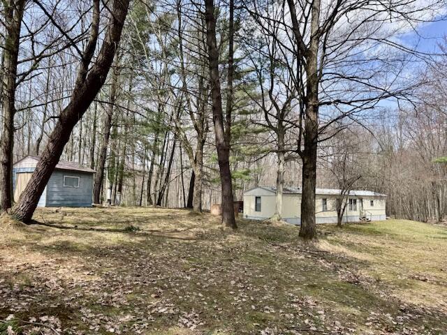 40+/- Acres 48th Street, Chase, MI, 49623-8725