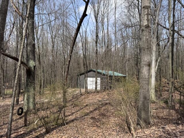 40+/- Acres 48th Street, Chase, MI, 49623-8725