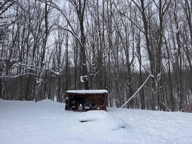 40+/- Acres 48th Street, Chase, MI, 49623-8725