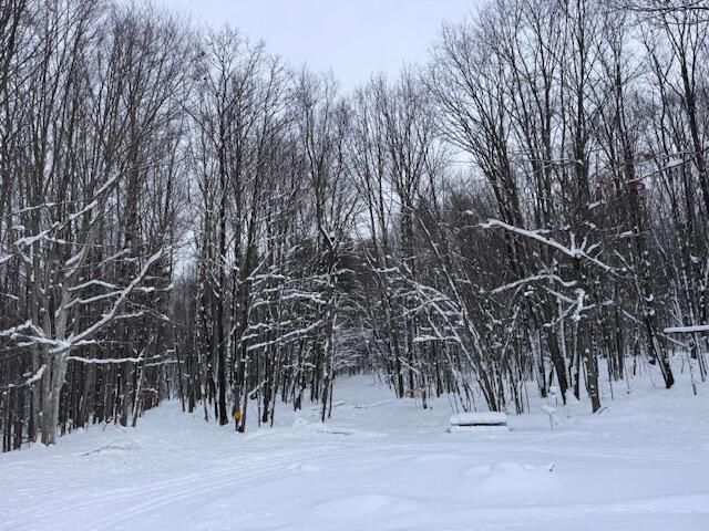 40+/- Acres 48th Street, Chase, MI, 49623-8725