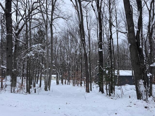 40+/- Acres 48th Street, Chase, MI, 49623-8725