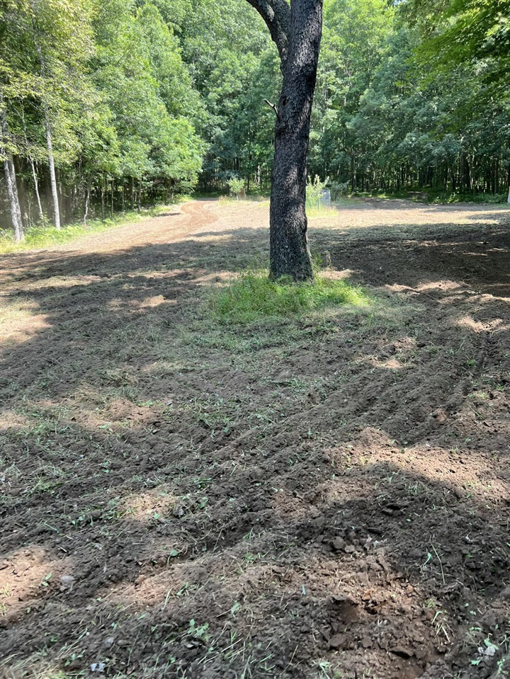 40+/- Acres 48th Street, Chase, MI, 49623-8725