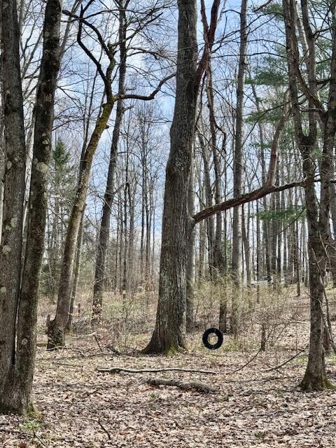 40+/- Acres 48th Street, Chase, MI, 49623-8725