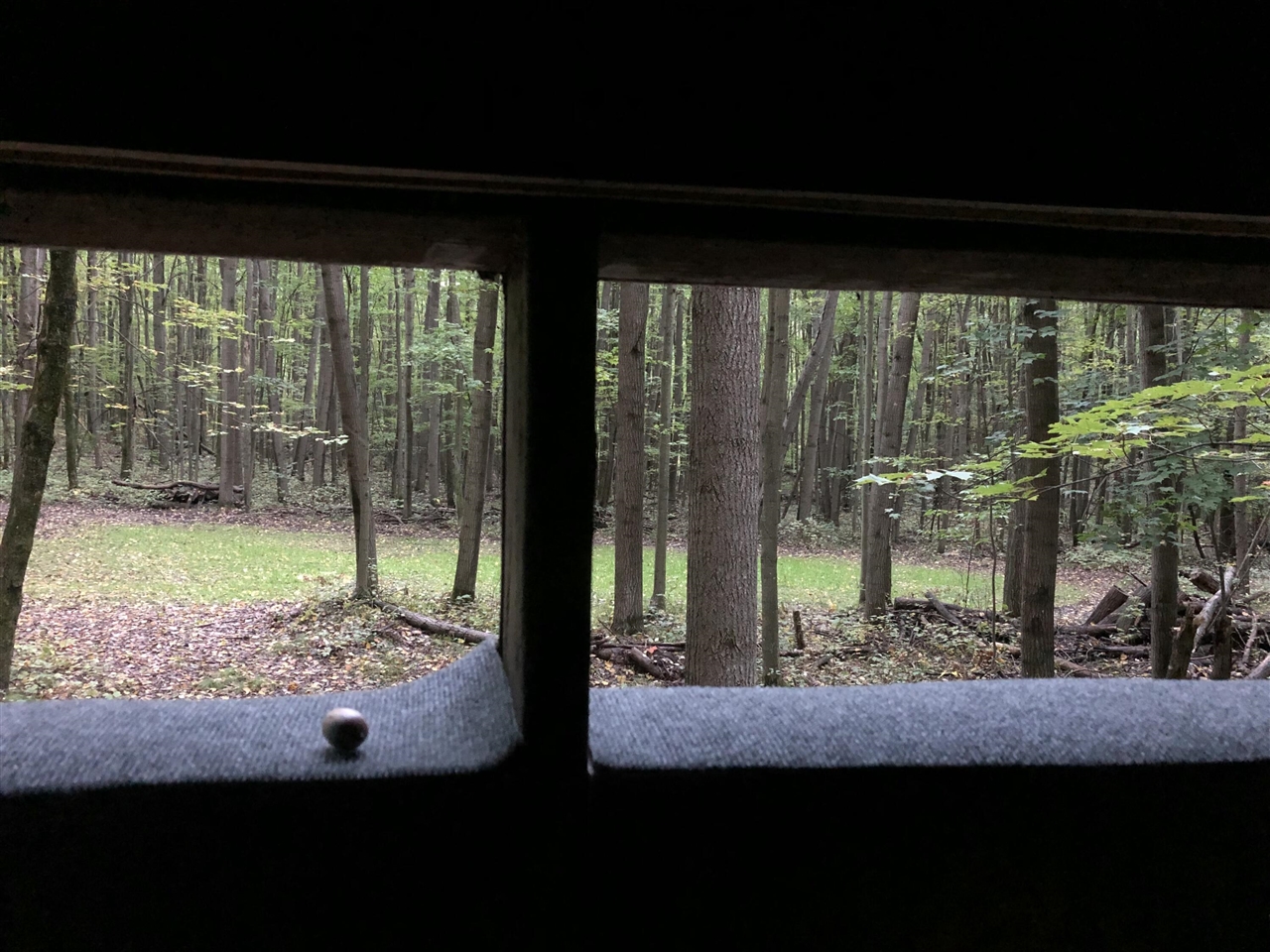 40+/- Acres 48th Street, Chase, MI, 49623-8725