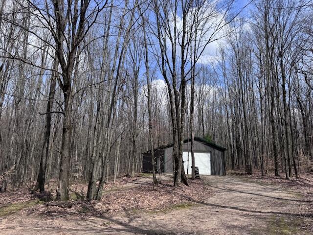 40+/- Acres 48th Street, Chase, MI, 49623-8725