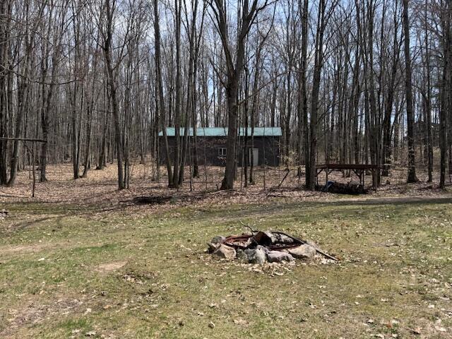 40+/- Acres 48th Street, Chase, MI, 49623-8725