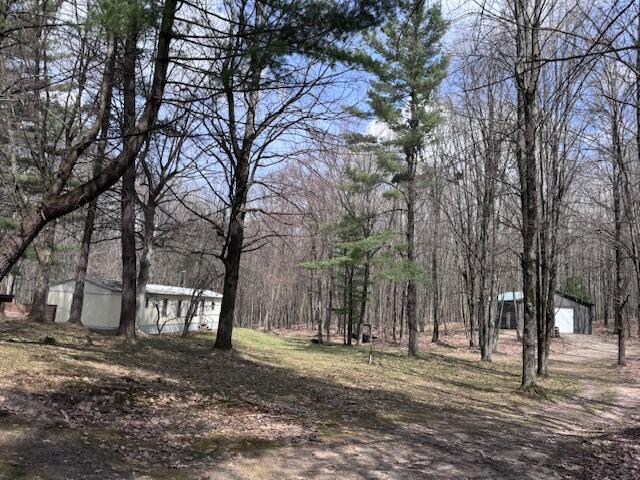 40+/- Acres 48th Street, Chase, MI, 49623-8725