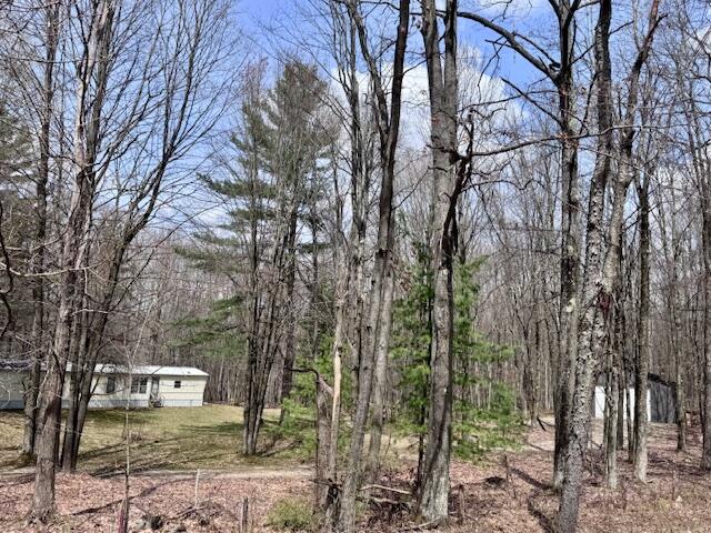 40+/- Acres 48th Street, Chase, MI, 49623-8725