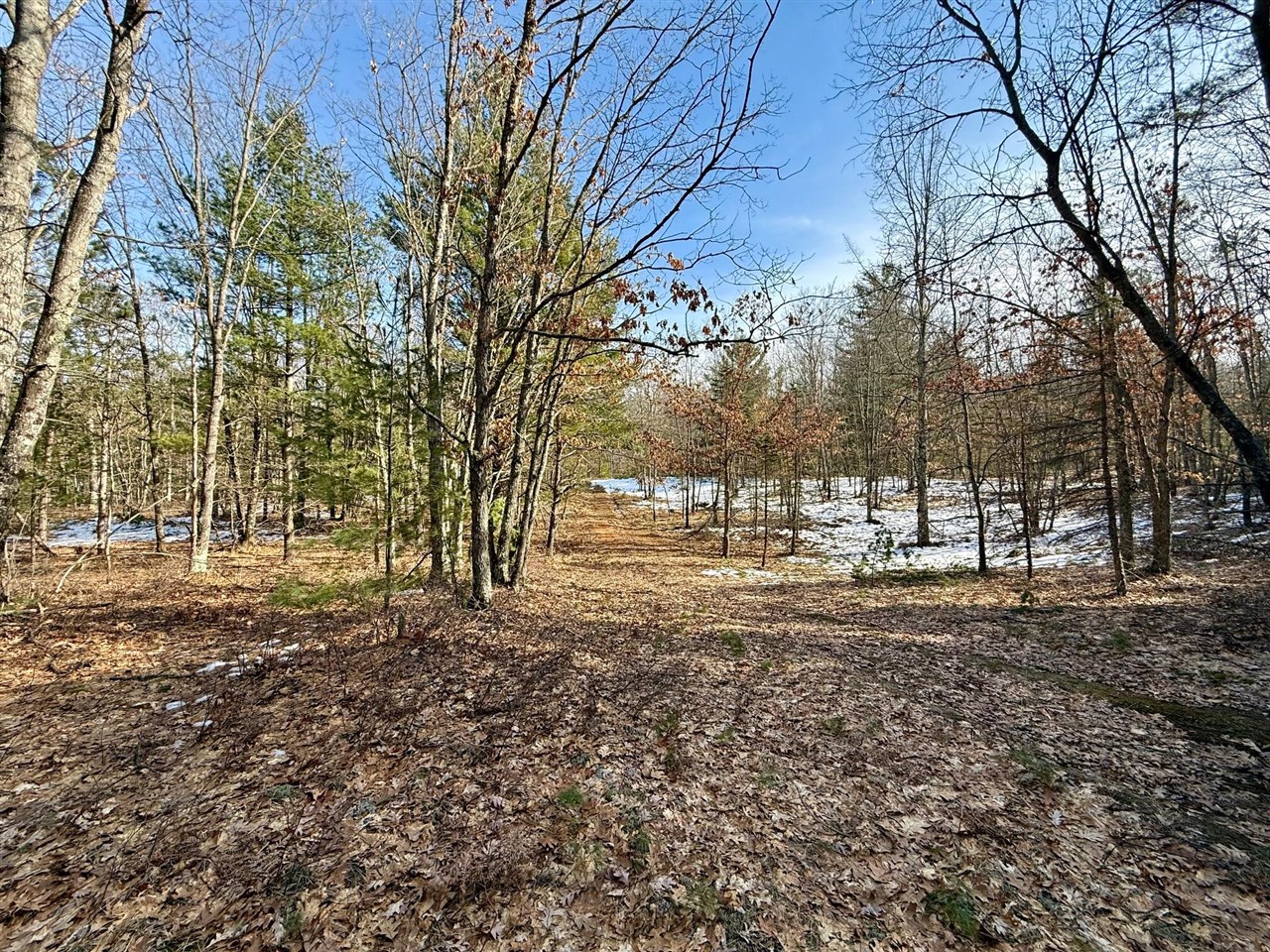 3649 Tulipleaf Drive, Holland, MI, 49424