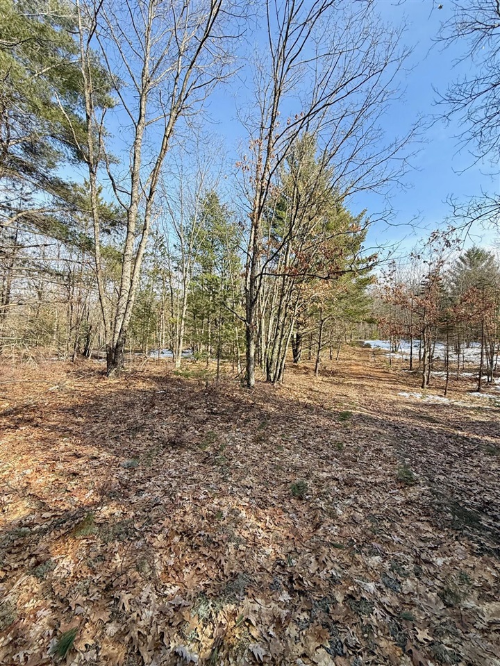 VL N Merrillville Road, Baldwin, MI, 49304