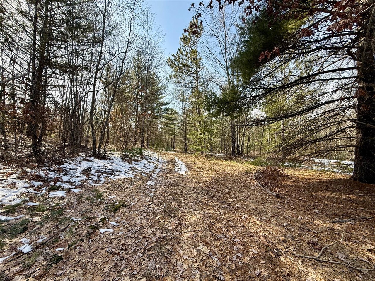 VL N Merrillville Road, Baldwin, MI, 49304