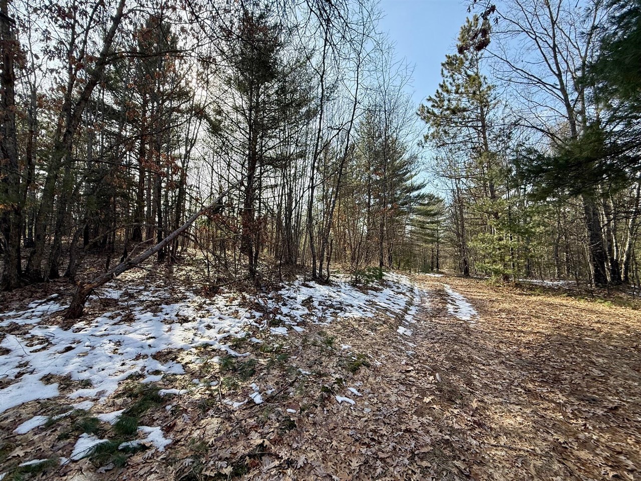 VL N Merrillville Road, Baldwin, MI, 49304